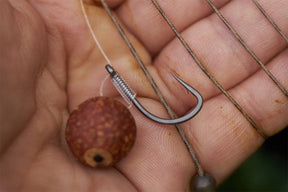 A Chod rig with a plugged Cork dust pop up.